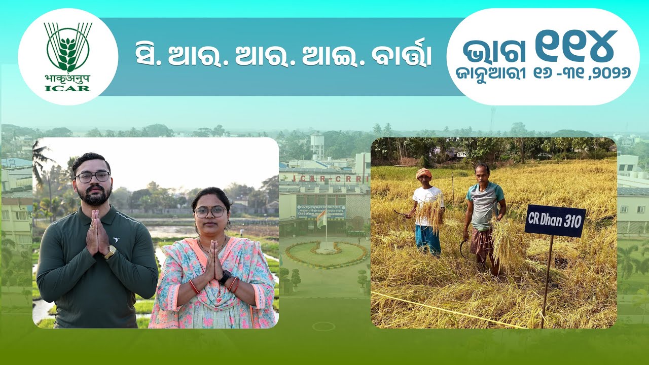 CRRI BARTA 16-31 JANUARY, 2026 (PART-114) II ICAR-CRRI, CUTTACK