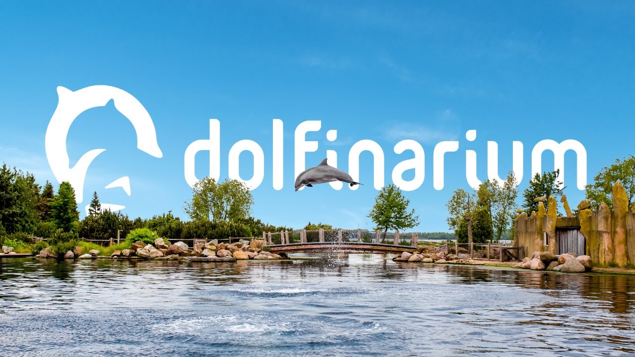 Dolfinarium ☀️🐬