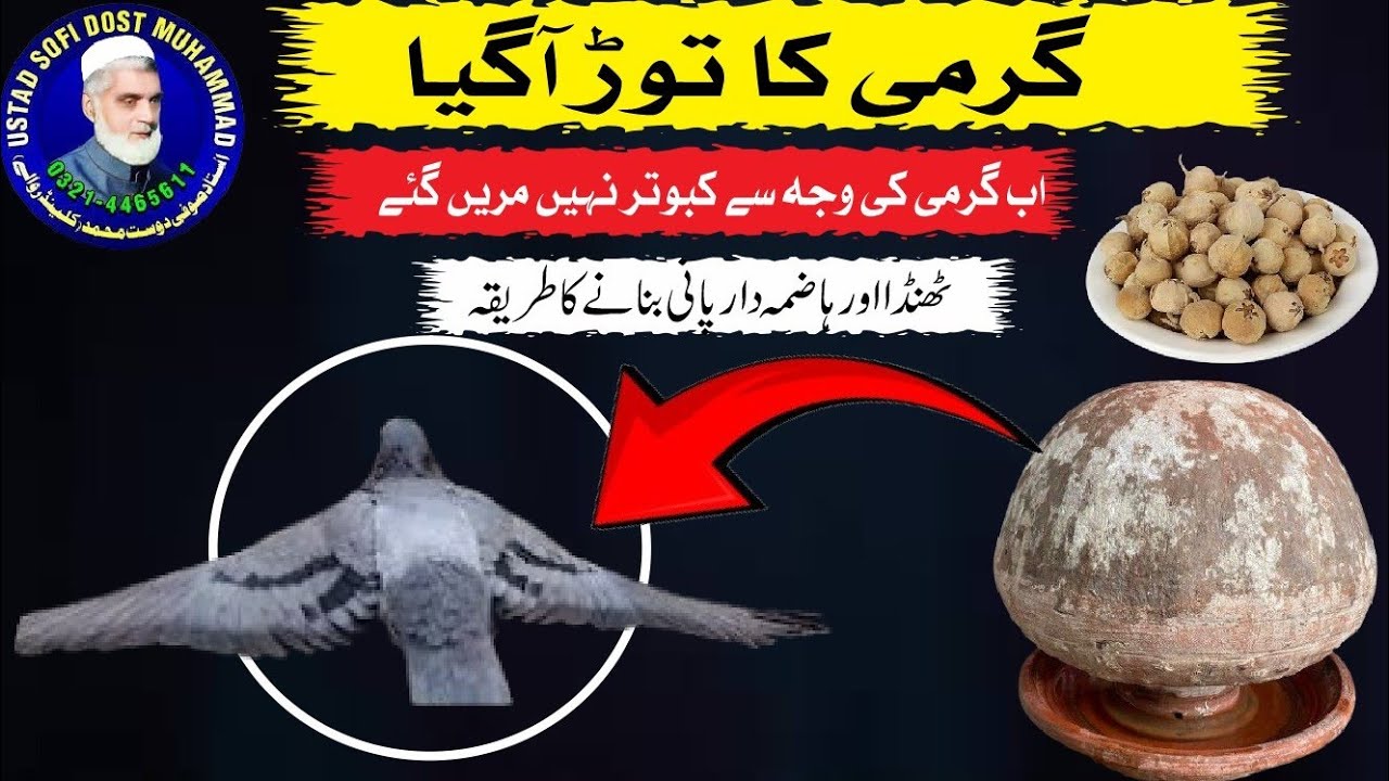 How to protect our pigeons to hot weattherٹھنڈا ہاضمہ والا پانی گھڑا بناے کا طریقہ