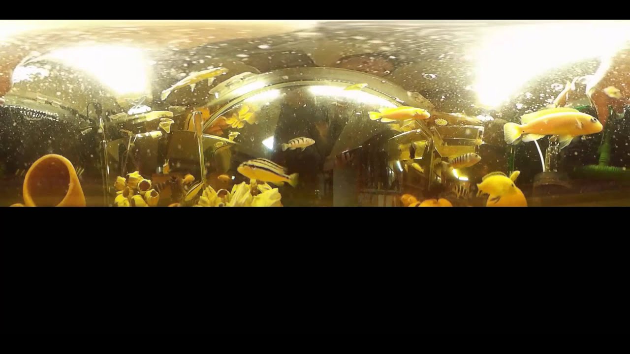 Kodak PIXPRO SP360 [360 degree lens-Waterproof Bundle test]
