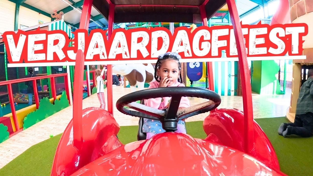 Verjaardagfeest - Vlog #370
