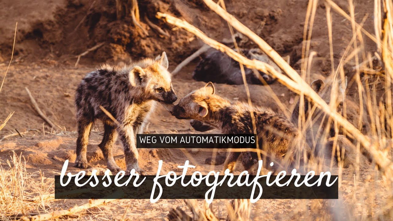 Weg vom Automatikmodus - Besser fotografieren in nur 3 Schritten