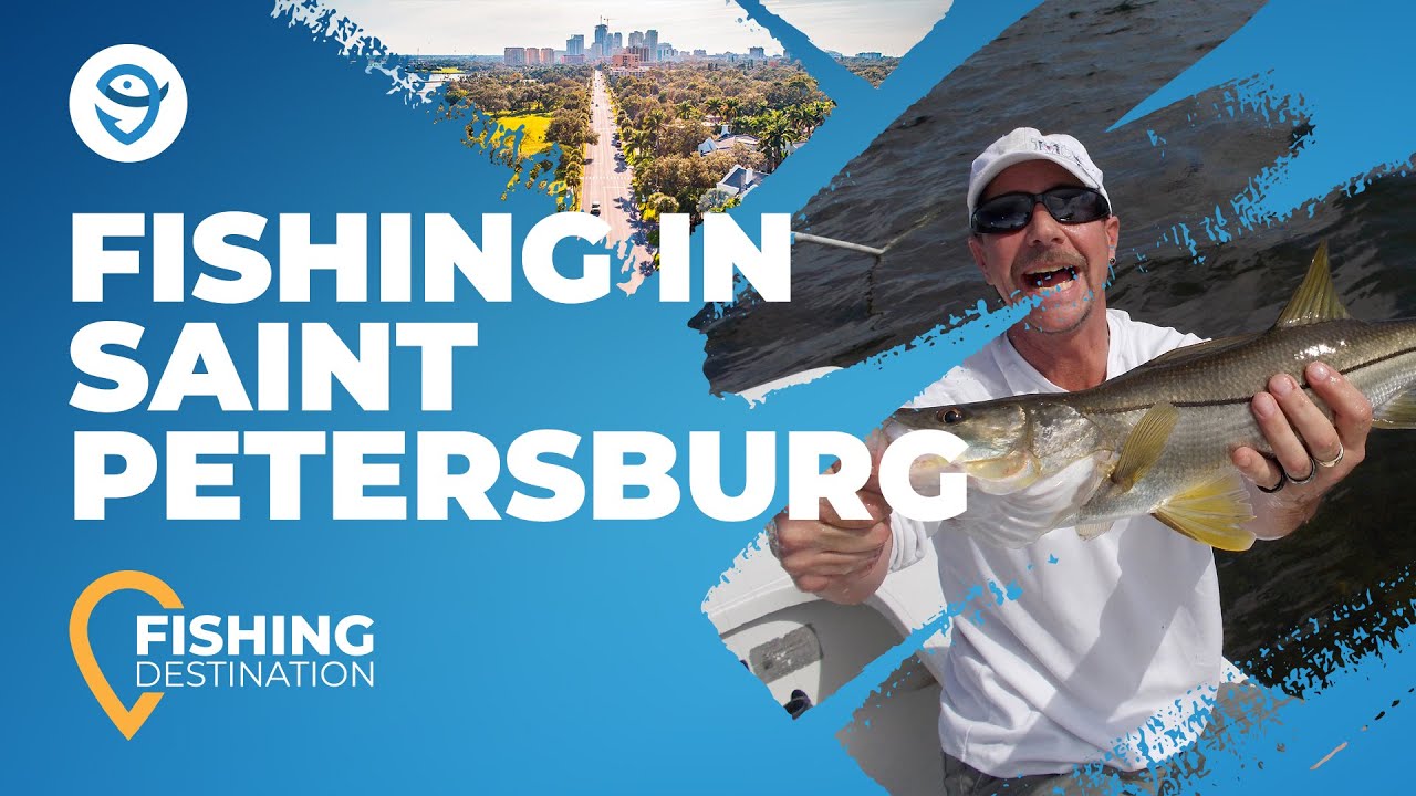 St. Petersburg, FL Fishing: The Complete Guide