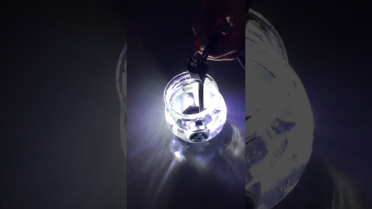 C6 LED bulbs in water