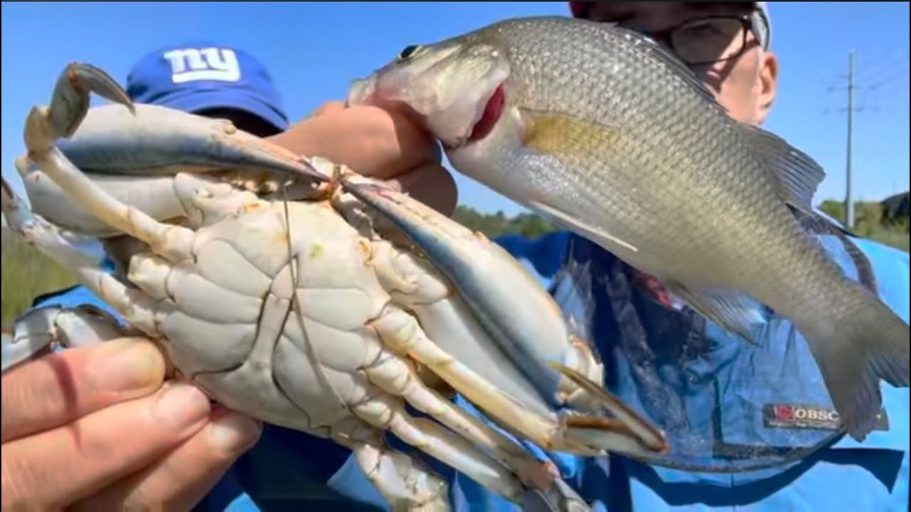 Crabbing and Fishing NJ