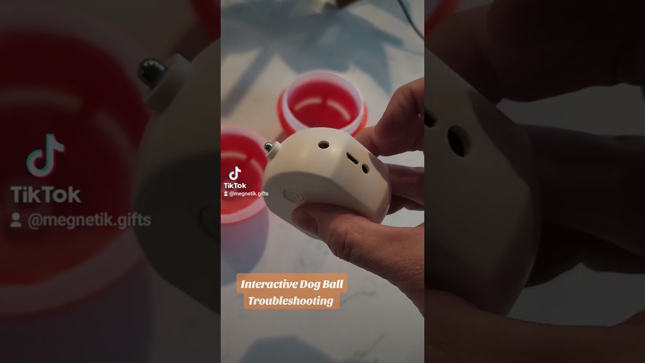 Interactive Dog Ball Troubleshooting / RESET