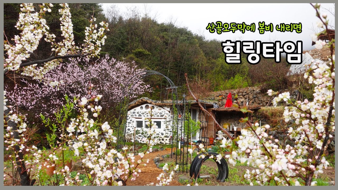 호젓한 산골 오두막에 봄비 내리면 힐링타임