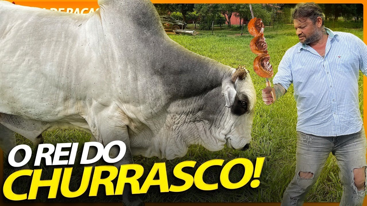 NELORE, O OURO BRANCO DO BRASIL! | RICHARD RASMUSSEN