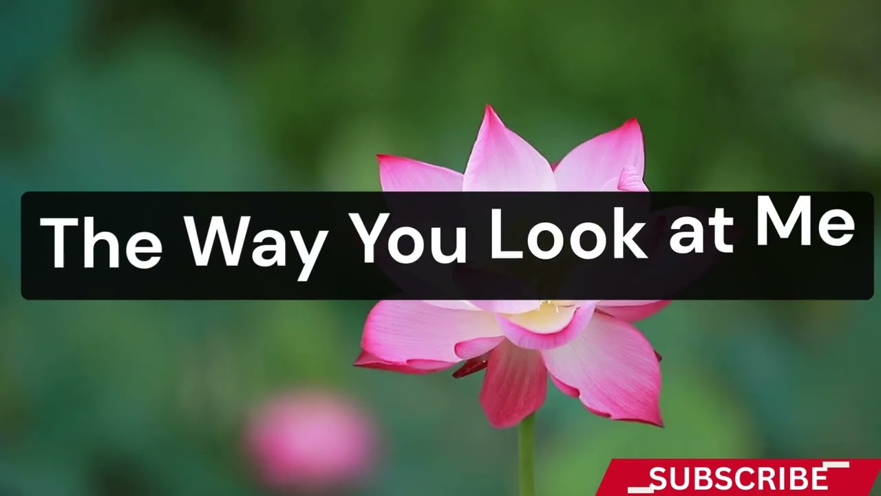 The Way You Look at Me 🎵 💌 ❤️ A Love Poem