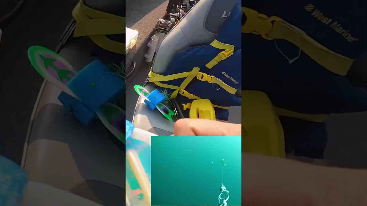 High & Low Diver Trolling Setup &mdash; Chrome Two-Face + Dreamcatcher w/ Pickled Sunshine Meat Rig! 🐟🎯