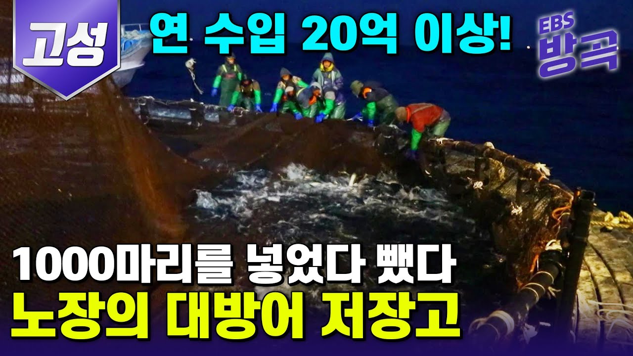 [경남 고성] 일흔셋 노장 방어잡이 꾼의 바다 한 가운데 대방어 저장고 | 하루 1,000마리의 방어를 넣었다 뺐다 하는 대방어 저장고의 정체는? | #한국기행 #방방곡곡