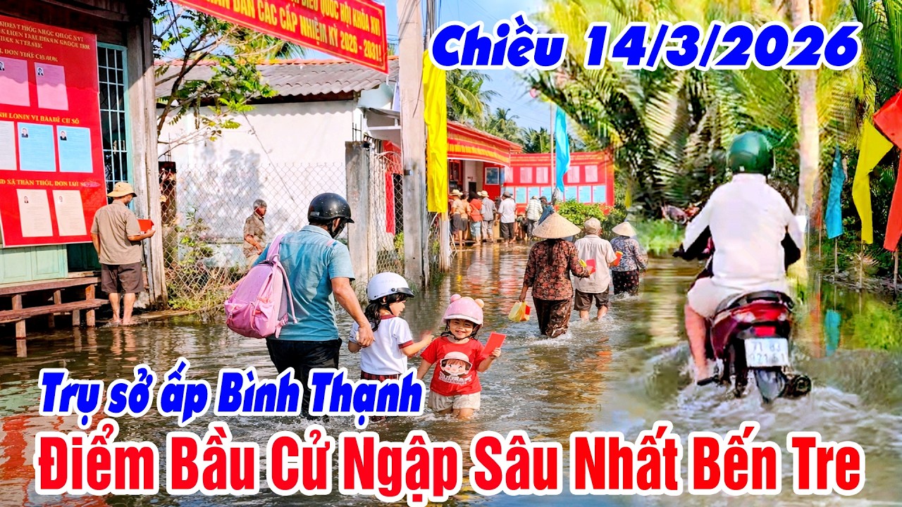 Điểm Bầu Cử Ngập Sâu Nhất Mỏ Cày Bến Tre - Nước Mặn Ngập Tứ Phía