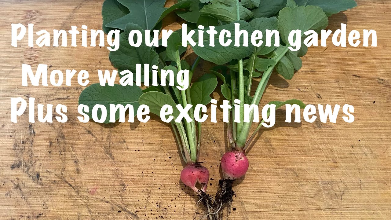 Planting our kitchen garden,restoring the wall and some exciting news …Algarve farm Portugal 🇵🇹