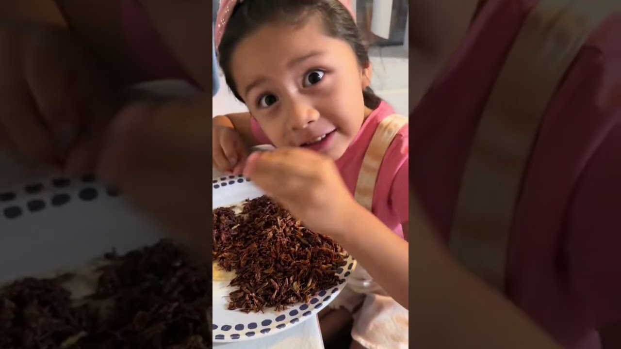 Viva Oaxaca y los Chapulines! #oaxaca #mexico #viral #chapulines