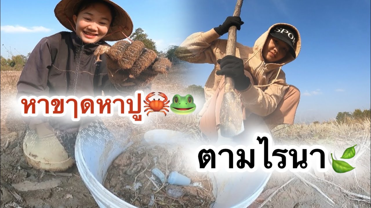 หากีนตามทำมชาดบ้านเราม่วนคัก💥💥💥