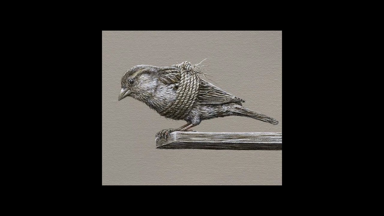 FREESTYLE BEATS X BOOM BAP BEATS 