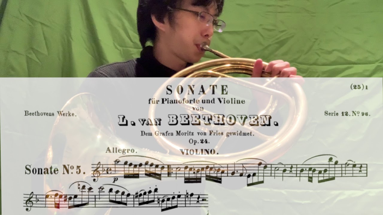 Beethoven - Spring Sonata by Natural Horn