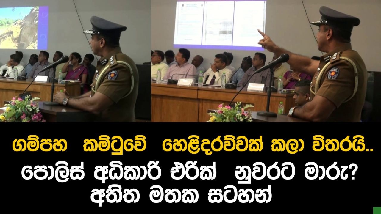 ගම්පහ  කමිටුවේ  හෙළිදරව්වක් කලා විතරයි..පොලිස් අධිකාරි එරික්  නුවරට මාරු? අතිත මතක සටහන්