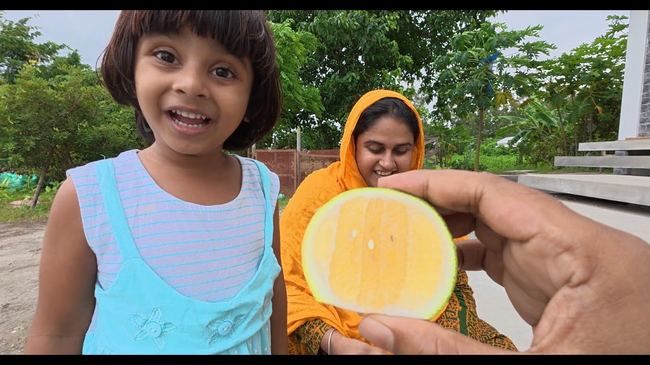 গত বছর বৃক্ষমেলা থেকে কেনা গাছের মাল্টা টেস্ট করলাম | Doyel Agro