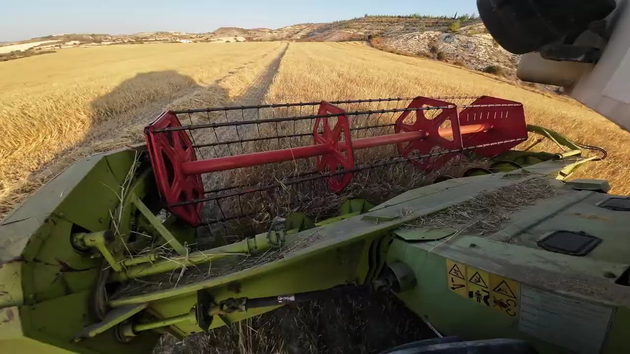 Harvesting Barley - Class Dominator 88 SL