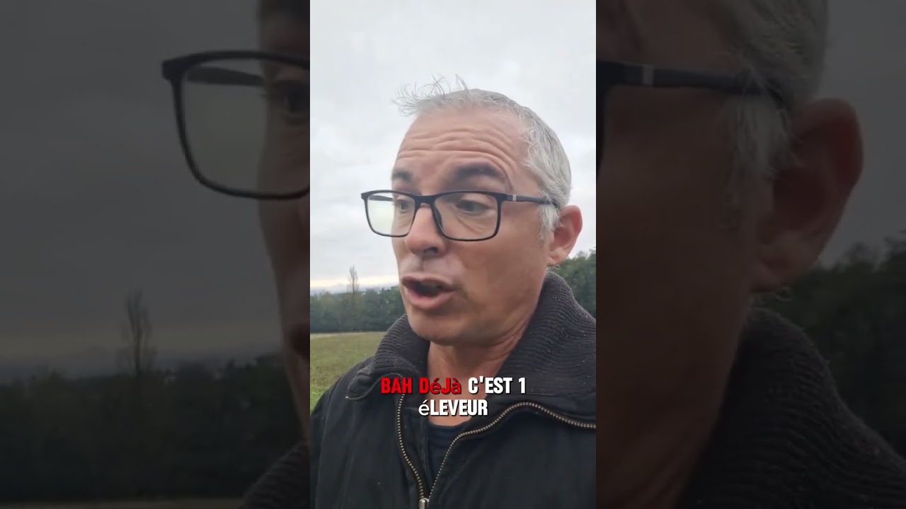 Adopter en refuge ou choisir un &eacute;leveur #chien #chiot #adoption