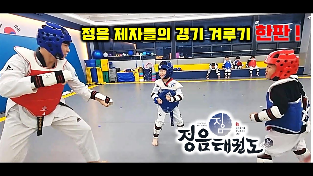 태권도 경기겨루기(모두 유급자?!) (Taekwondo Sparring Training)
