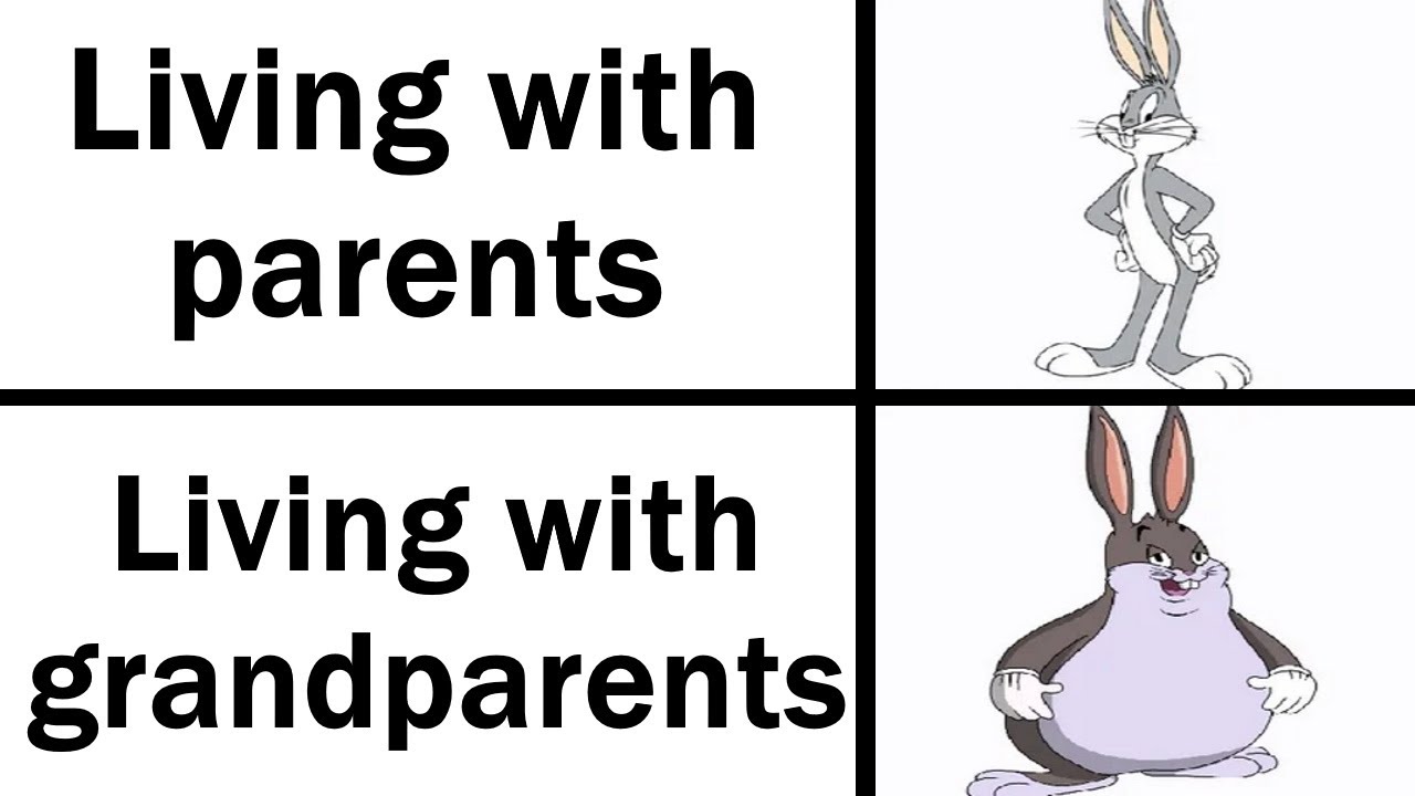 Daily Juicy Memes 501