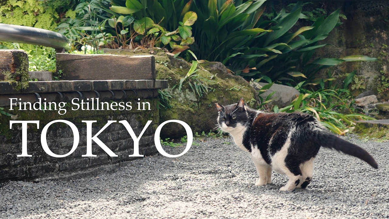 Finding Stillness in Tokyo: Kanda, Akihabara & Tamachi