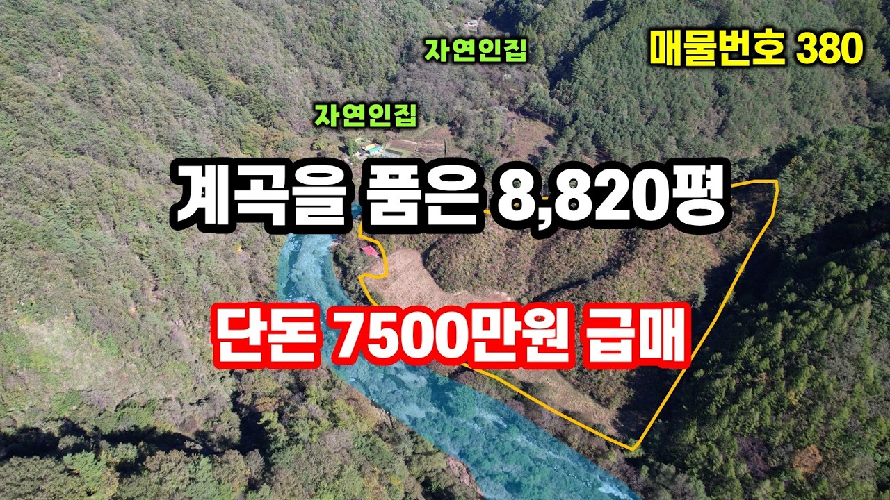 산골 오지 계곡땅, 맑은 계곡이 끝내주는 밭과 임야 급매!! 싼땅 산골 오지땅 산속땅 경북땅 시골땅 추천매물