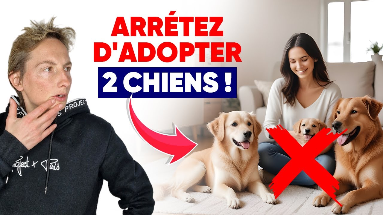 Arrêtez D'adopter 2 Chiens !