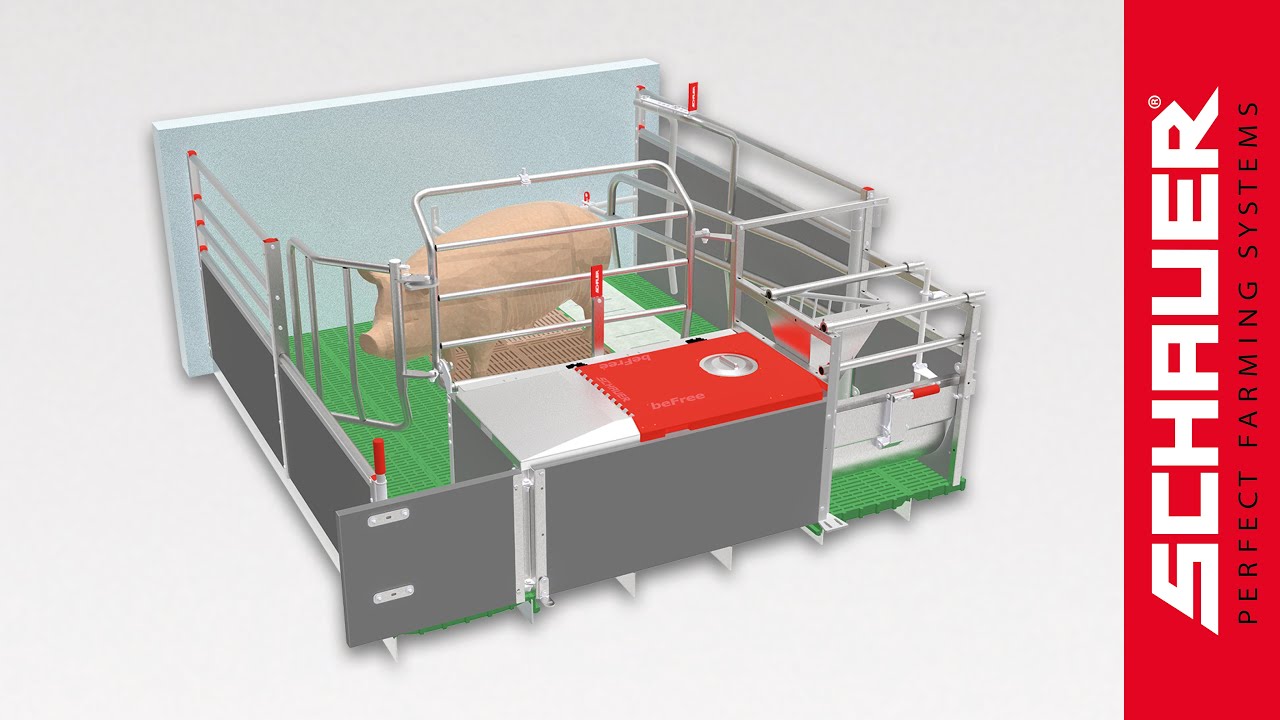 Produktvideo BeFree3.0 FT 30 Abferkelbucht