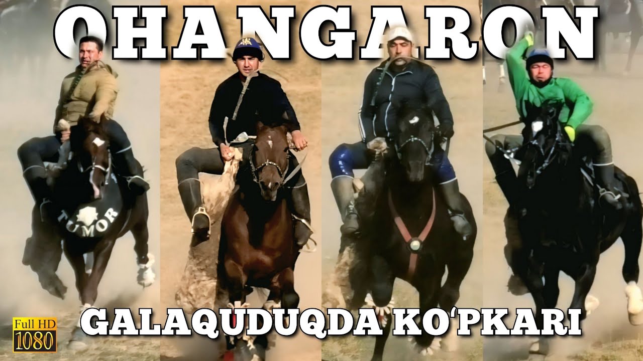 20.10.2025. GOLDEN HORSE OTXONASI OT SOVUTAR KOʻPKARISI. OHANGARON GALAQUDUQ.