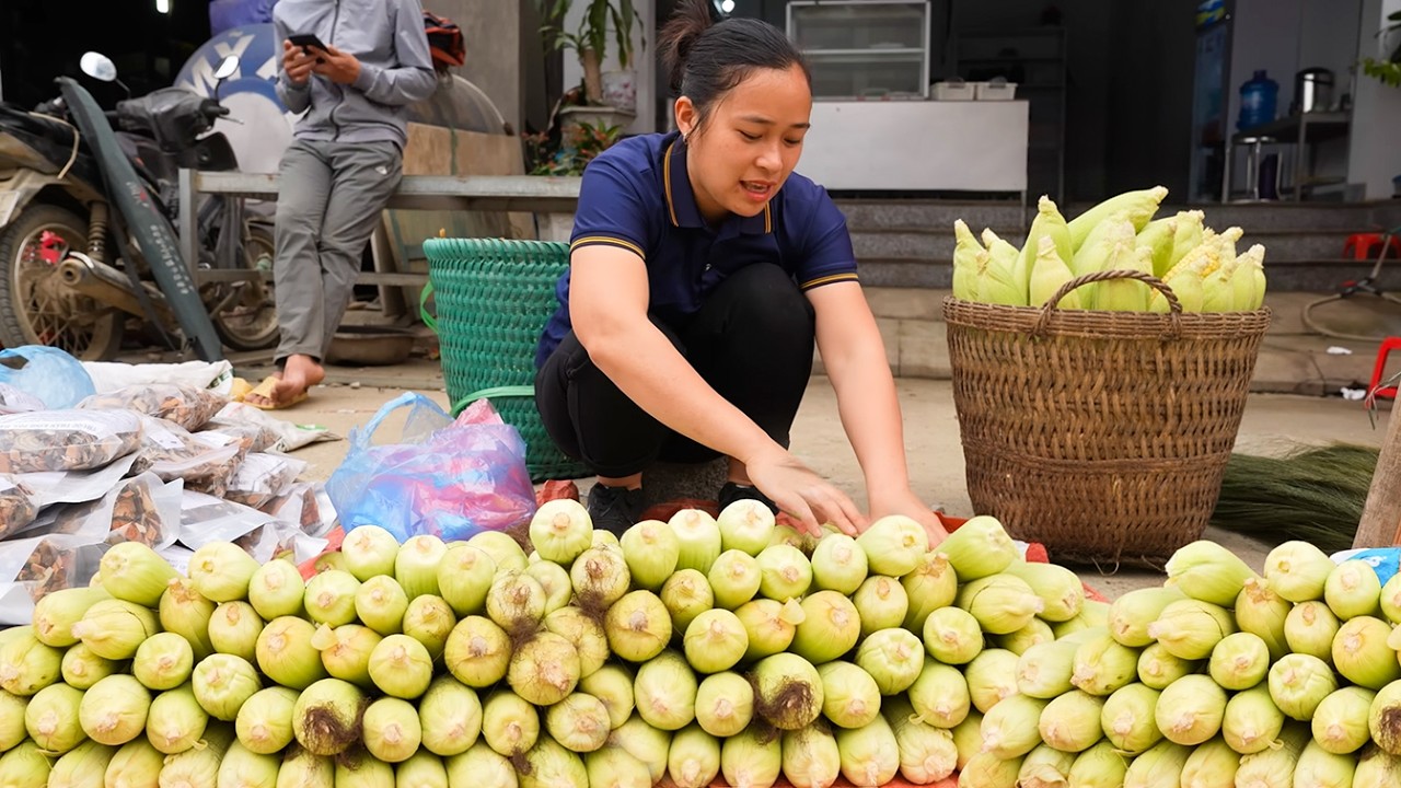 Corn Harvest Day in the Garden, Ly Hoai Van Goes to the Market, Farm Life and Goat Care