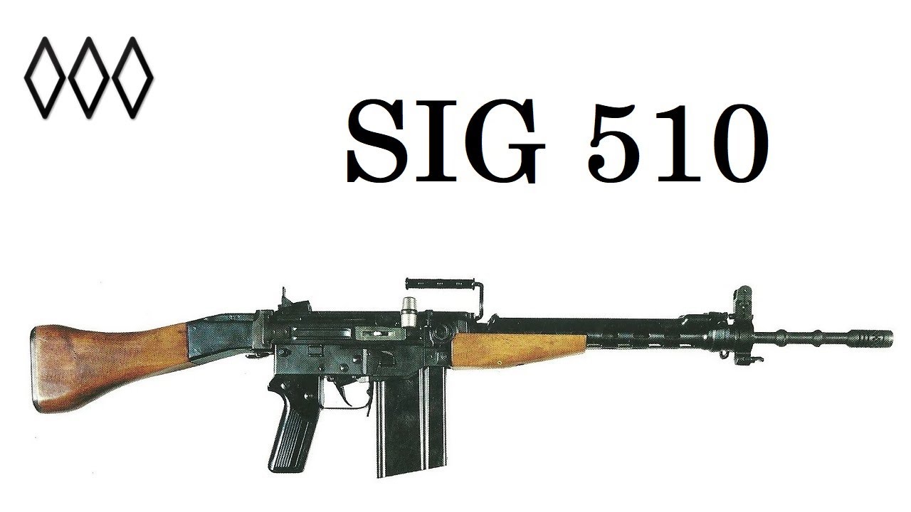 SIG 510