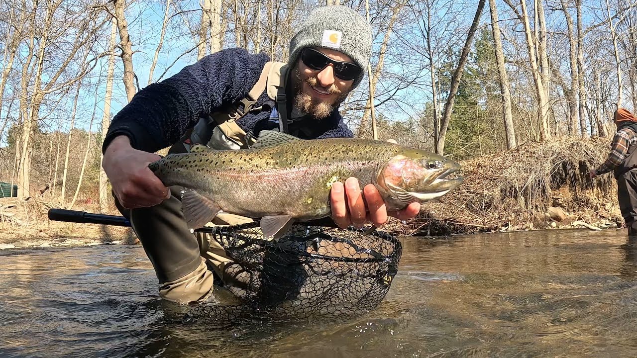Fly Fishing Big Rainbow Trout April 1st New York!! (20+ INCH FISH)
