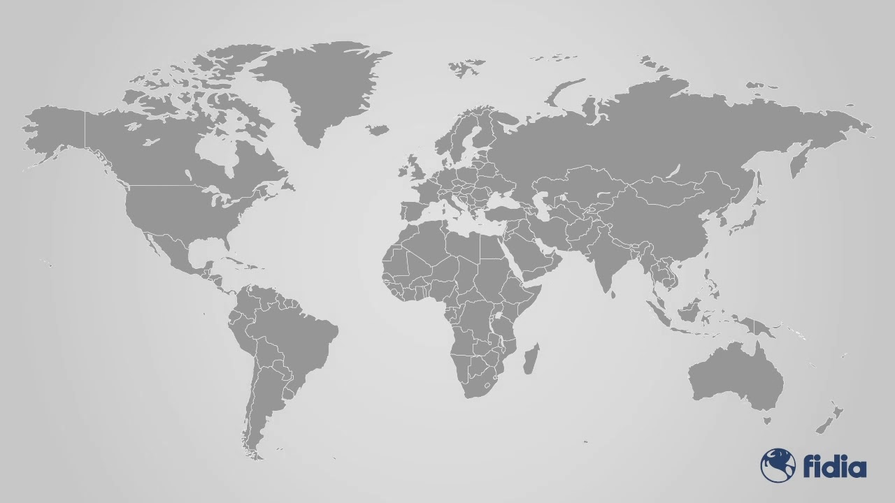 Fidia International