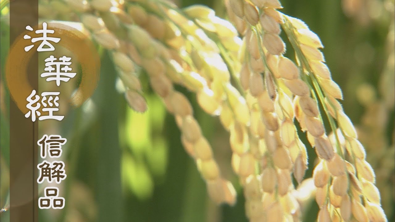 【靜思妙蓮華】法華經信解品 - 持如來戒 如淨明珠 - 20210614 第854集