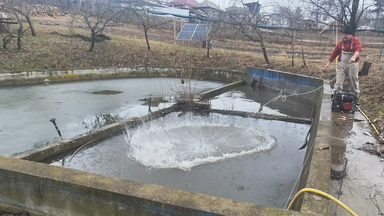 PESCUIT CU PROSTOVOLUL🐬BORȘUL PESCARULUI SĂRAC🤣🐟🐬🐟 PEȘTE MARINAT ȘI PRĂJIT 🐬