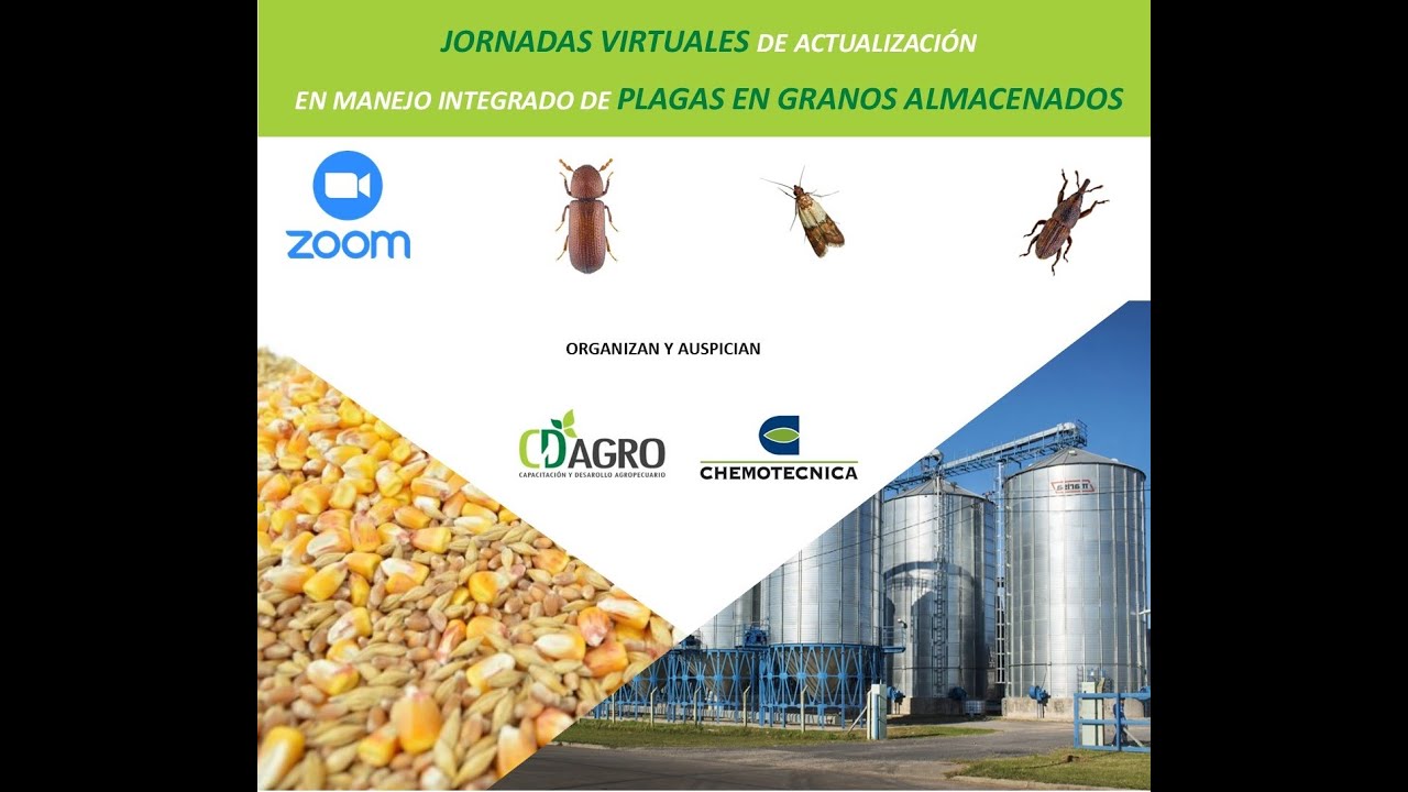 Jornadas virtuales en actualización de manejo integrado de plagas en granos almacenados (25/11/2020)