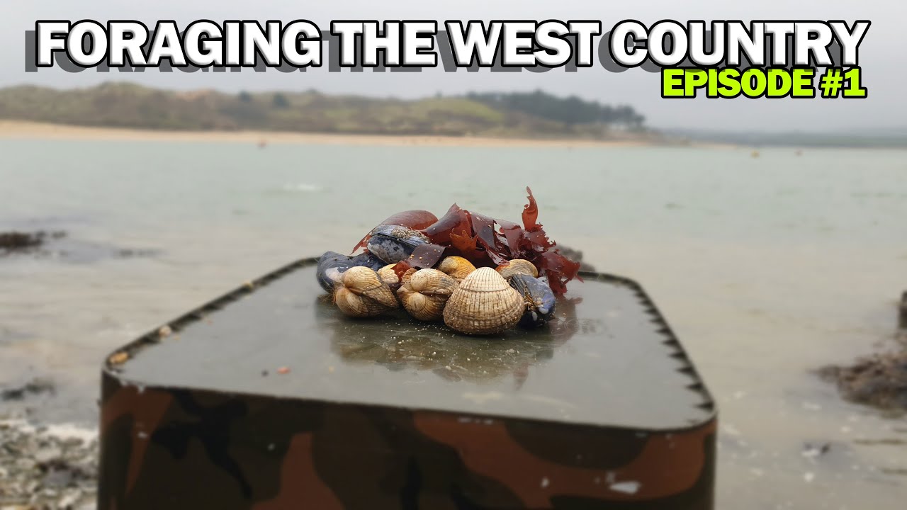 Coastal Foraging for the First Time - Foraging the West Country #1 & Cleaning our Coastline