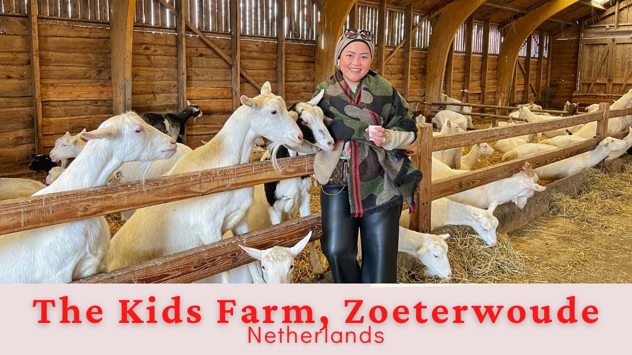 UPCLOSE AND PERSONAL ENCOUNTER WITH THE ANIMALS AT KIDS FARM ZOETERWOUDE NETHERLANDS 🇳🇱