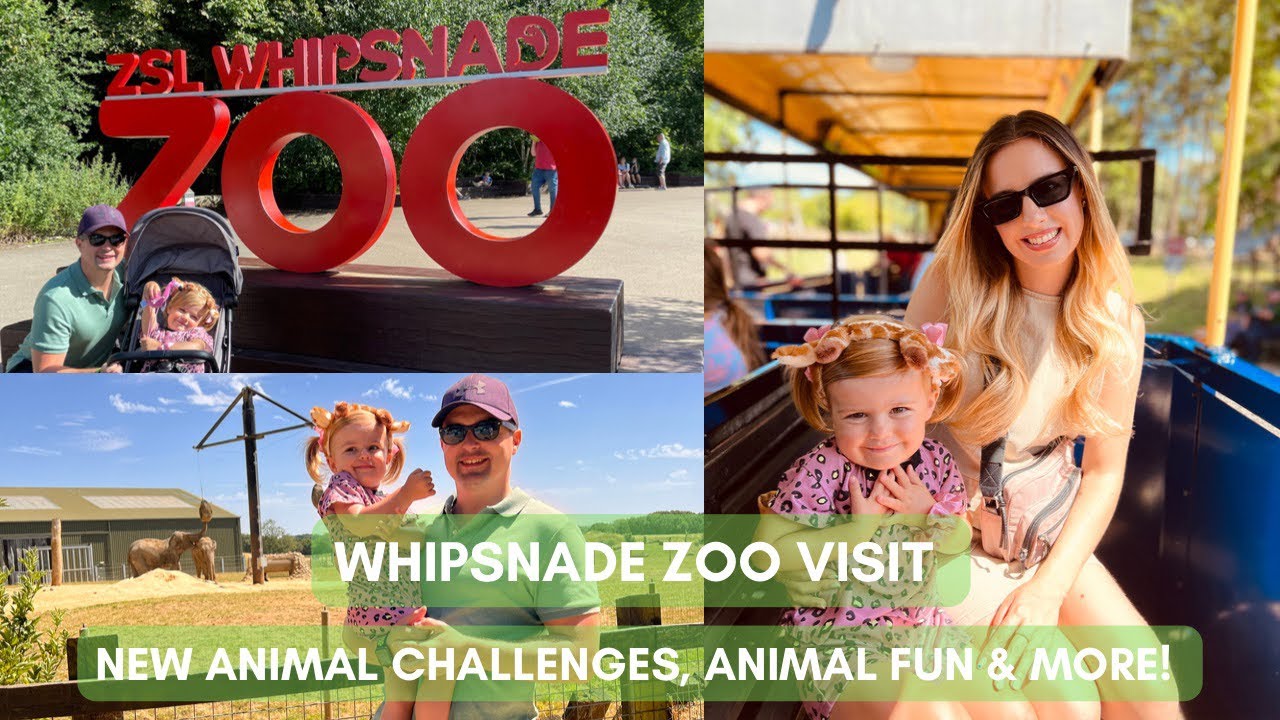 ZSL WHIPSNADE ZOO VISIT - THE UK&rsquo;S LARGEST ZOO! TODDLER FUN, AMAZING ANIMALS & ANIMAL CHALLENGES!