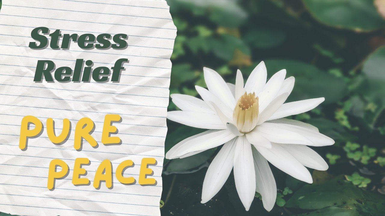 Peaceful Piano Music for Meditation & Mental Clarity