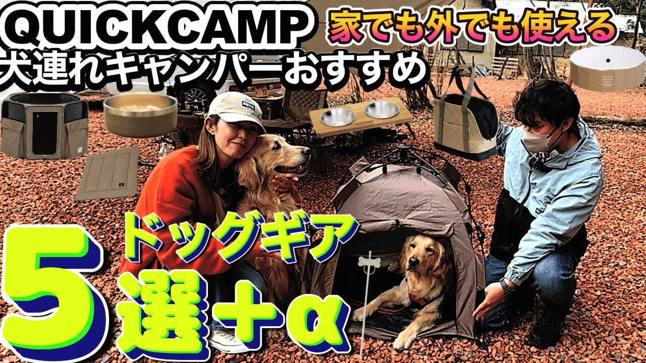 【わんこのキャンプ道具】クイックキャンプから続々登場！ドッグギアおすすめ５選【キャンプギア】 小型犬 中型犬 大型犬 【藤橋キャンピングベース】
