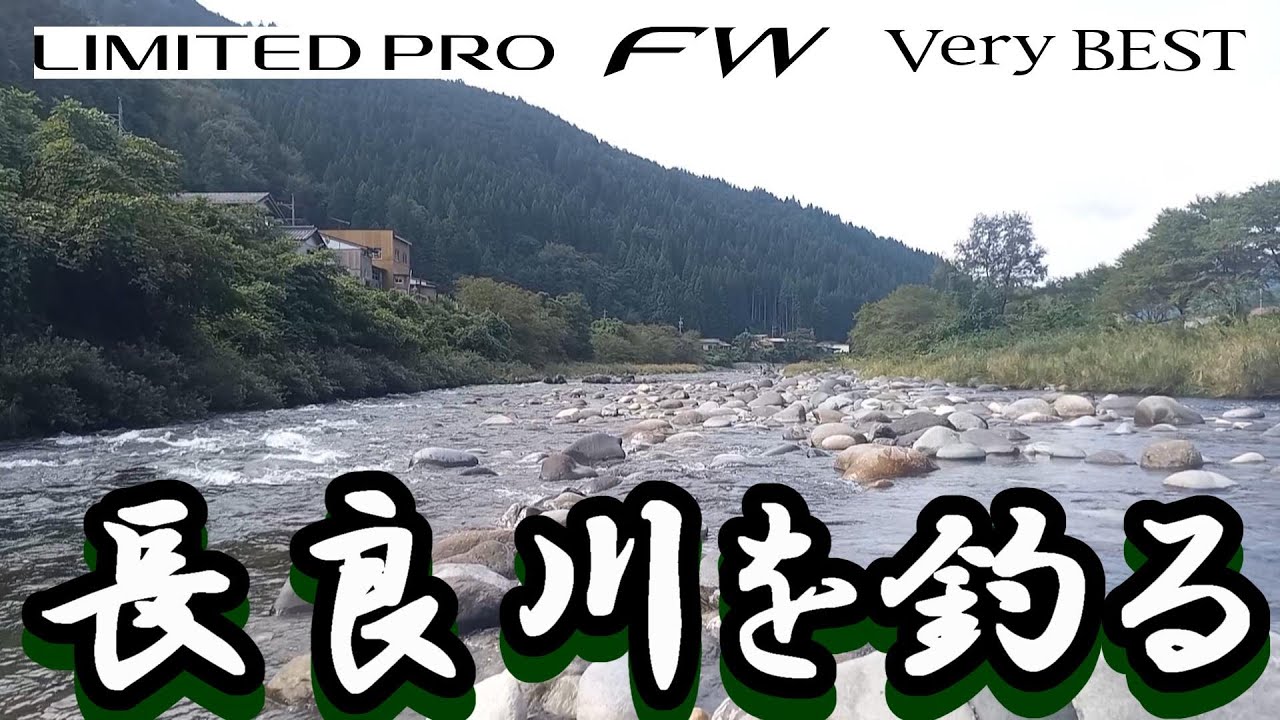 鮎釣り シマノ リミテッド プロ FW ベリーベスト 90 渇水垢ぐされ 吉田川桜並木 吉田川出合 長良川  2023年9月20日