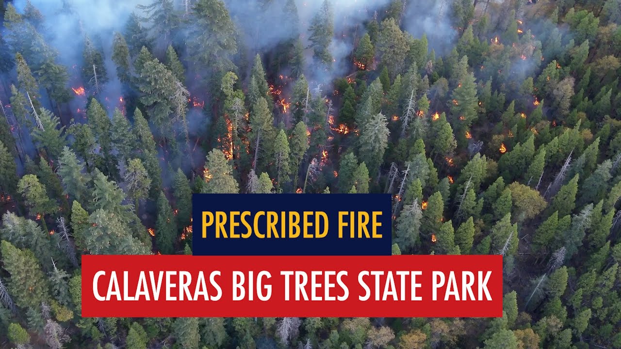 Prescribed Fire - Calaveras Big Trees State Park