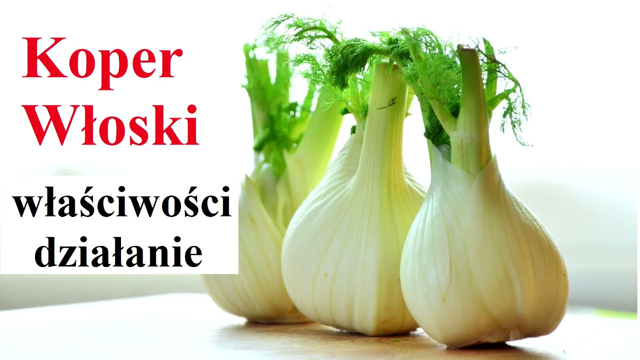 KOPER WŁOSKI  - właściwości, działanie, zalety