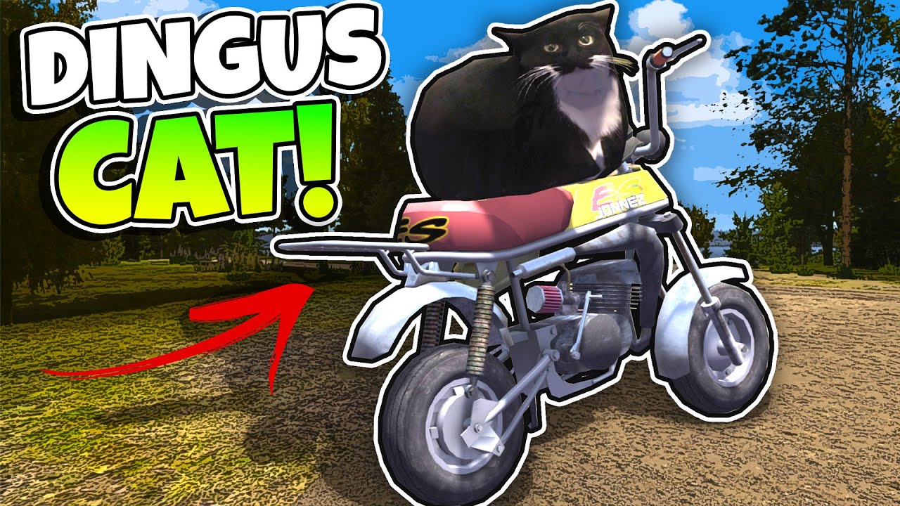 I Took DINGUS CAT For A Drive in My Summer Car!!