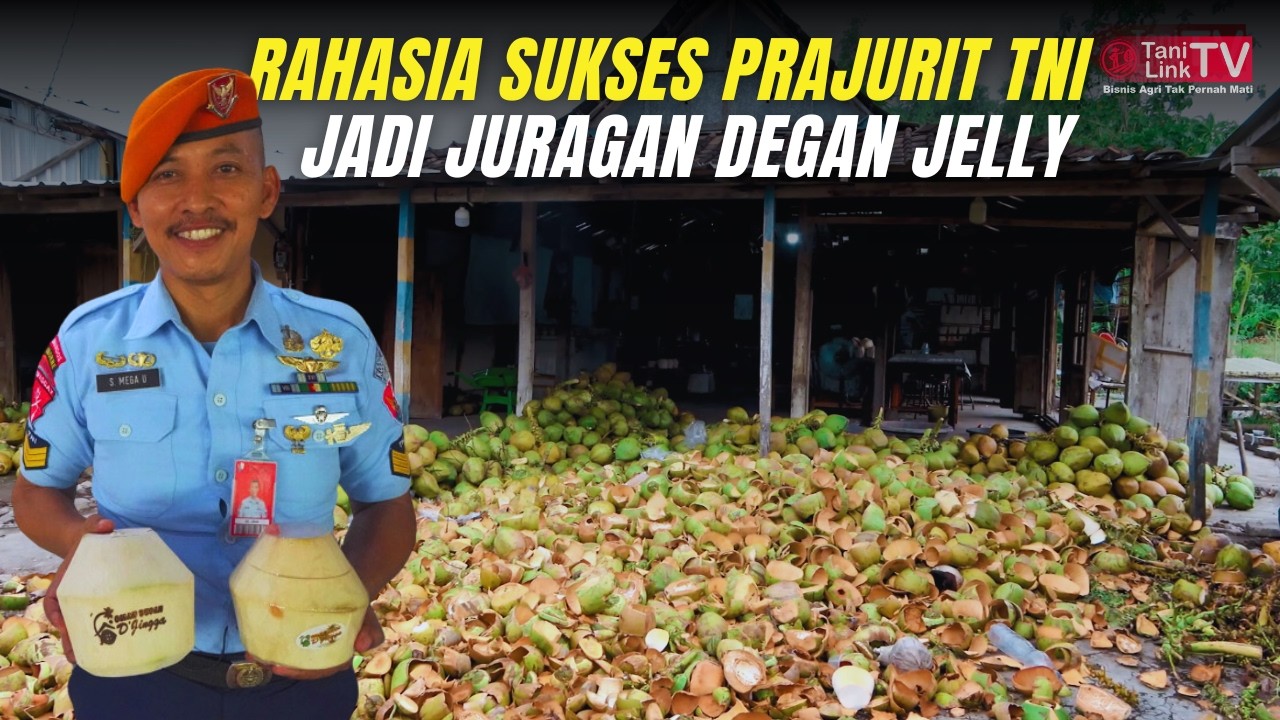 Peluang Bisnis Degan Jelly ala TNI. Bisnis Kekinian Laris Manis 500 Butir per Hari