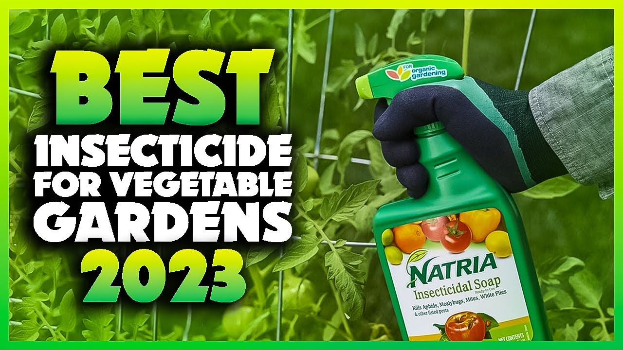 Top 5 Best Insecticide For Vegetable Gardens You can Buy Right Now [2023]